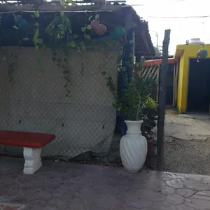  Campingplatz Y Camping G